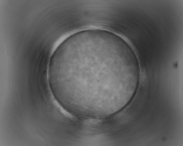 X0000110711294200906261422