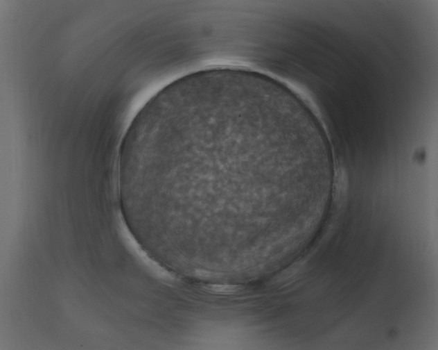 X0000110711295200906261422