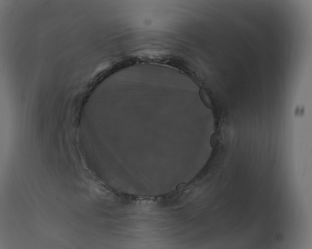 X0000110711297200906261422