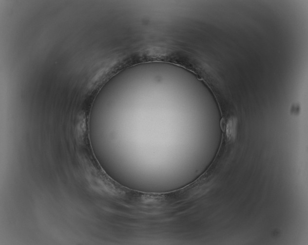 X0000110711299200906261422