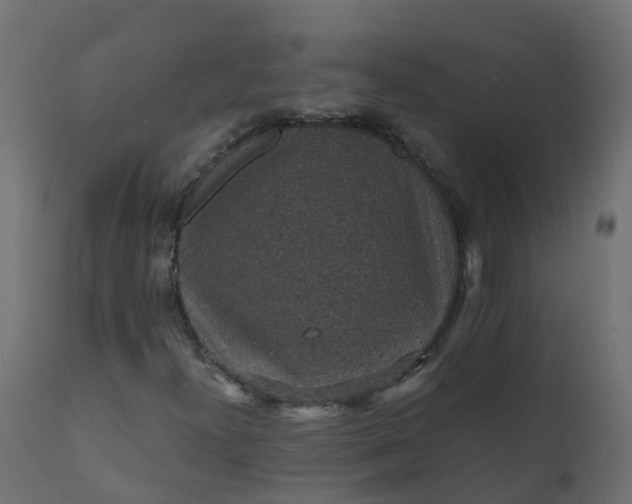 X0000110711300200906261422