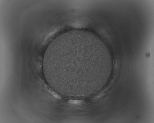 X0000110711301200906261422
