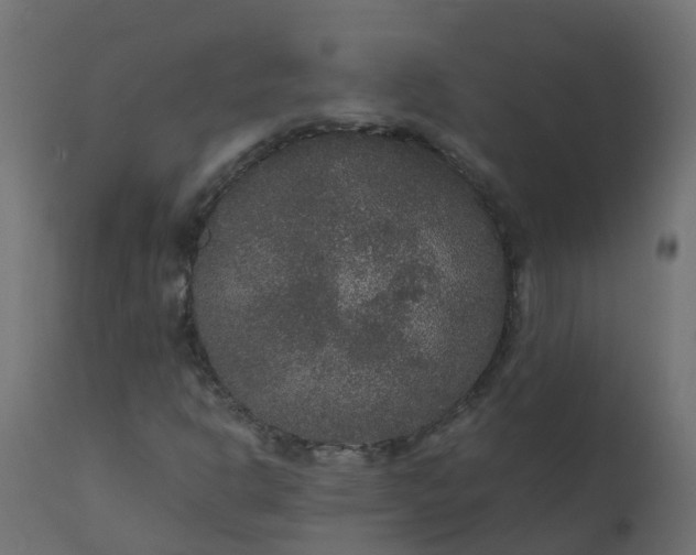 X0000110711302200906261422