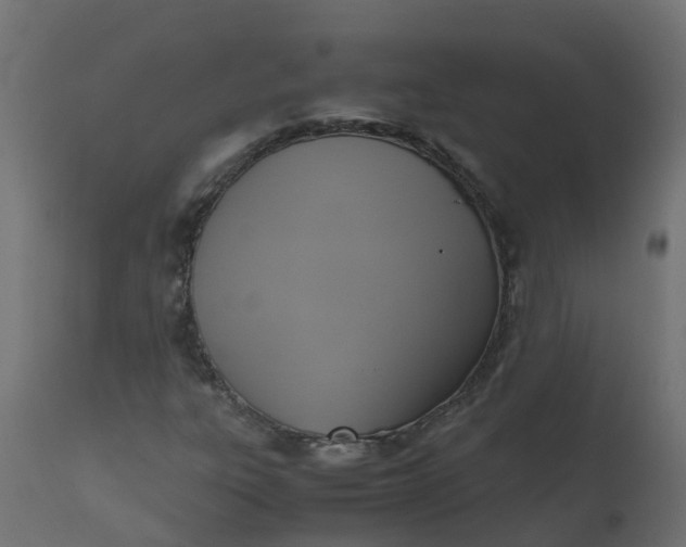 X0000110711303200906261422