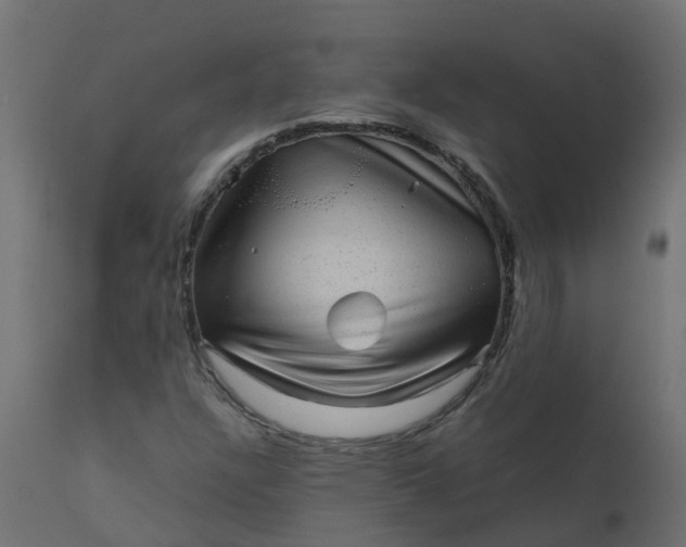 X0000110711304200906261422