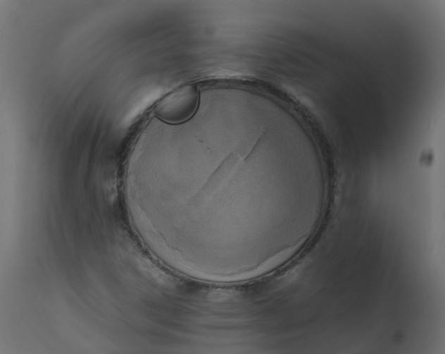 X0000110711306200906261422