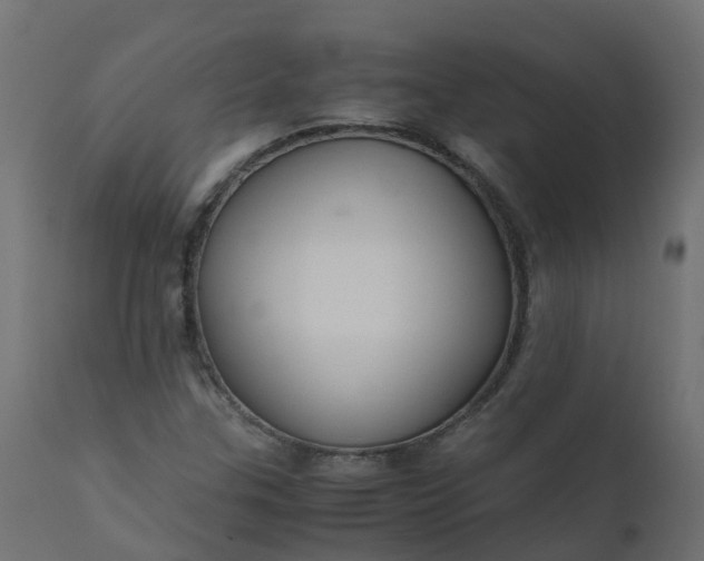 X0000110711307200906261422