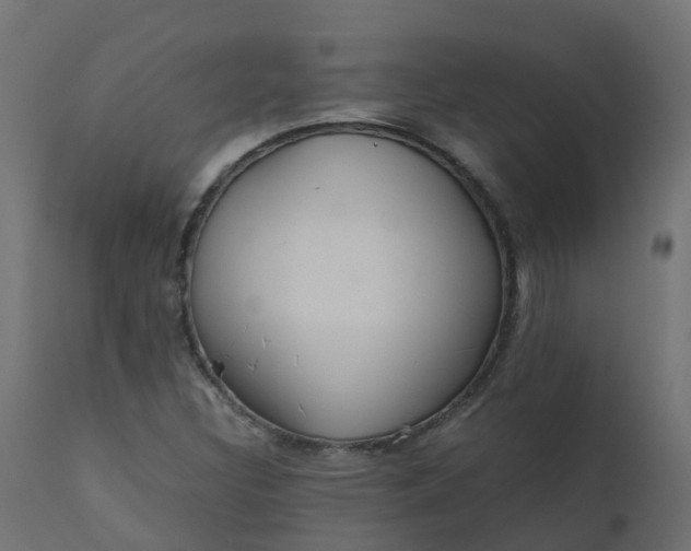 X0000110711308200906261422