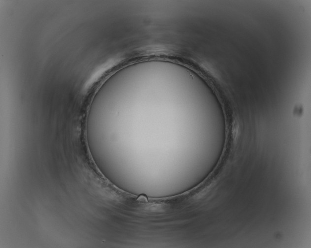 X0000110711309200906261422