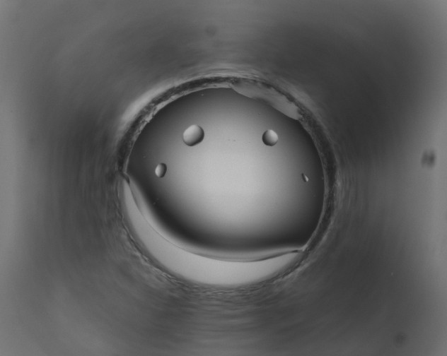 X0000110711310200906261422