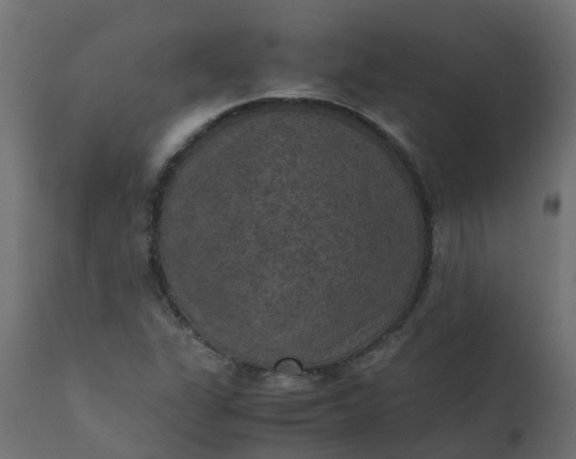 X0000110711311200906261422
