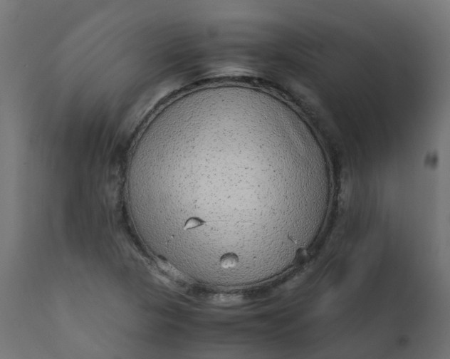 X0000110711313200906261422