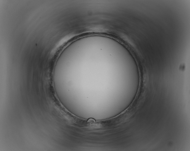 X0000110711315200906261422