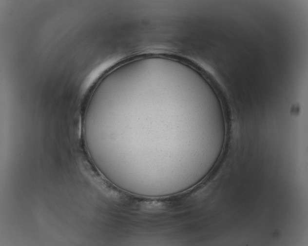 X0000110711317200906261422