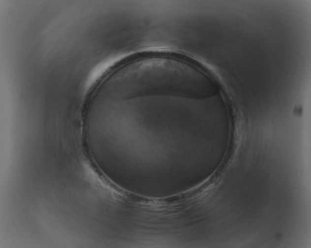 X0000110711319200906261422