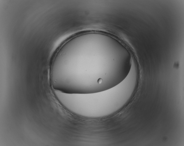 X0000110711320200906261422