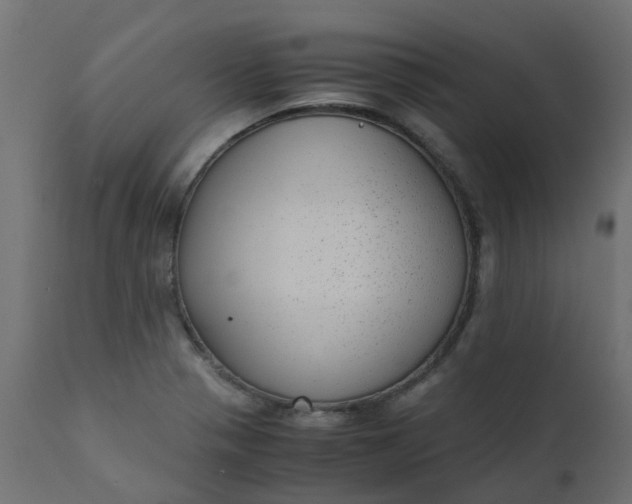 X0000110711321200906261422