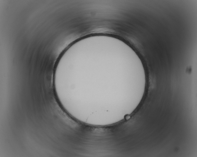 X0000110711322200906261422
