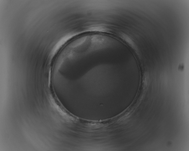 X0000110711323200906261422
