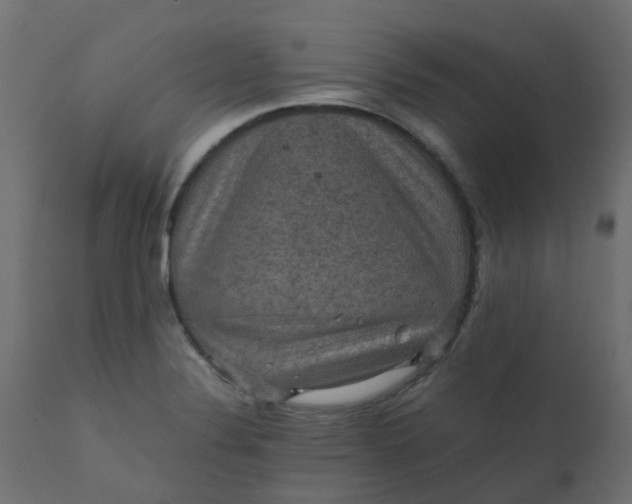 X0000110711324200906261422