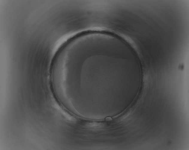 X0000110711327200906261422