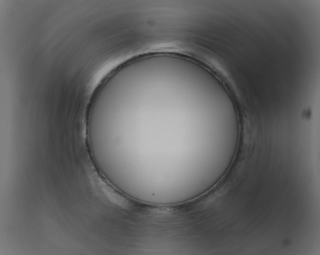 X0000110711328200906261422