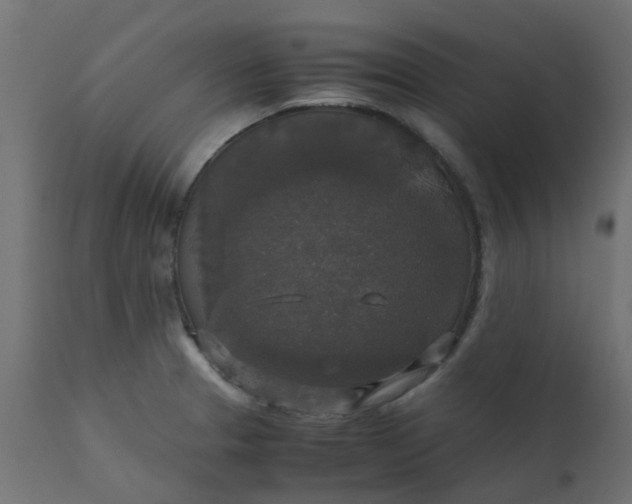 X0000110711329200906261422