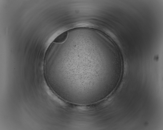 X0000110711330200906261422