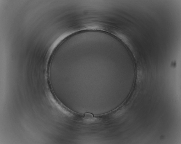 X0000110711331200906261422