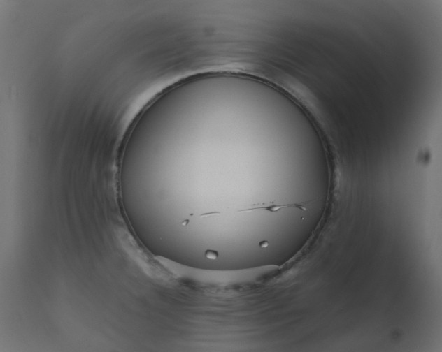 X0000110711332200906261422