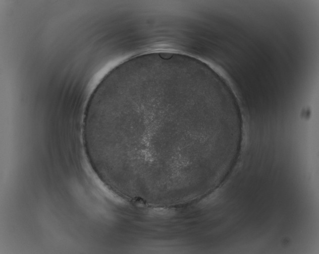 X0000110711333200906261422