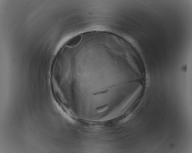 X0000110711334200906261422