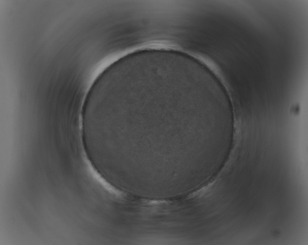 X0000110711335200906261422