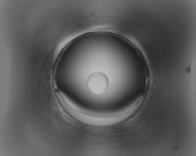 X0000110711336200906261422