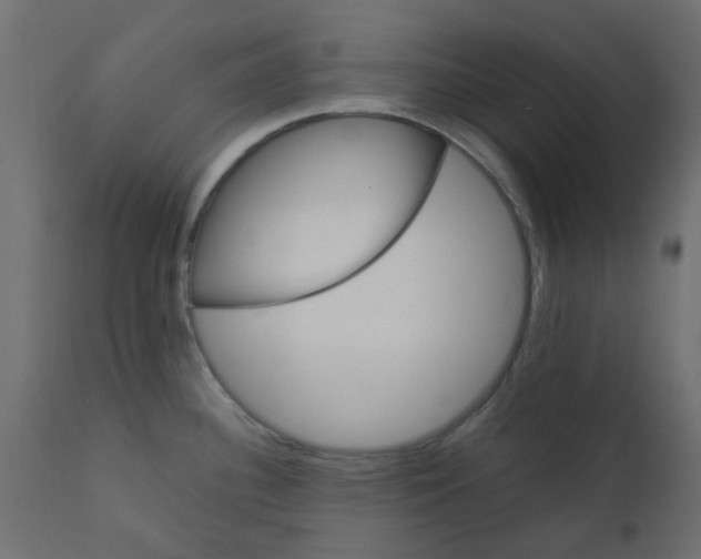 X0000110711340200906261422