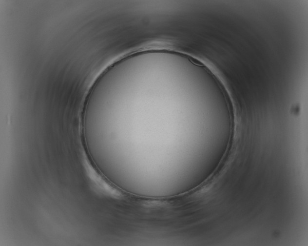 X0000110711341200906261422