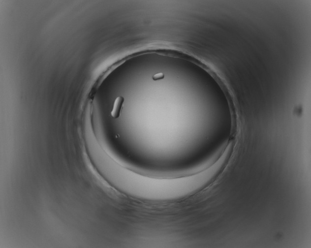 X0000110711342200906261422