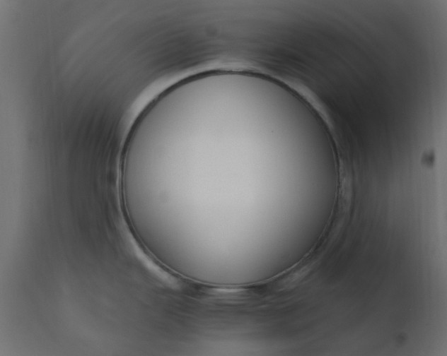 X0000110711343200906261422