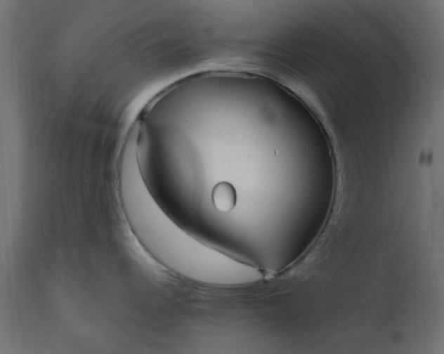 X0000110711344200906261422