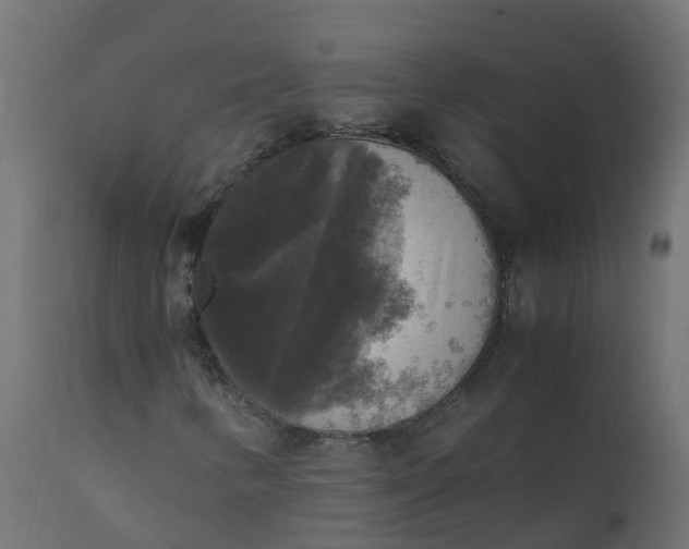 X0000110711346200906261422