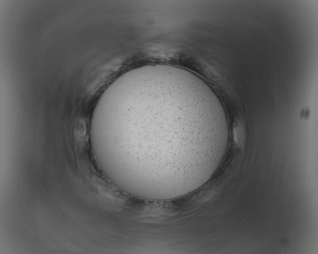 X0000110711347200906261422