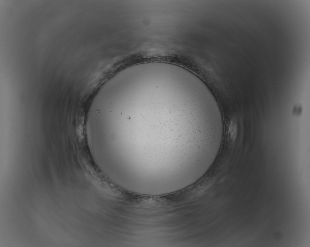 X0000110711348200906261422