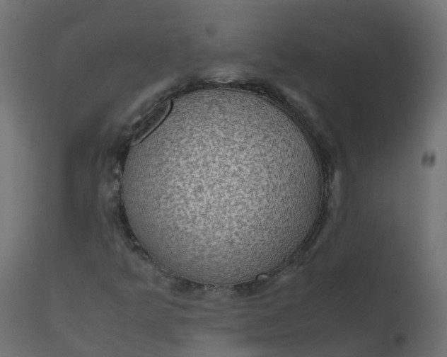 X0000110711349200906261422
