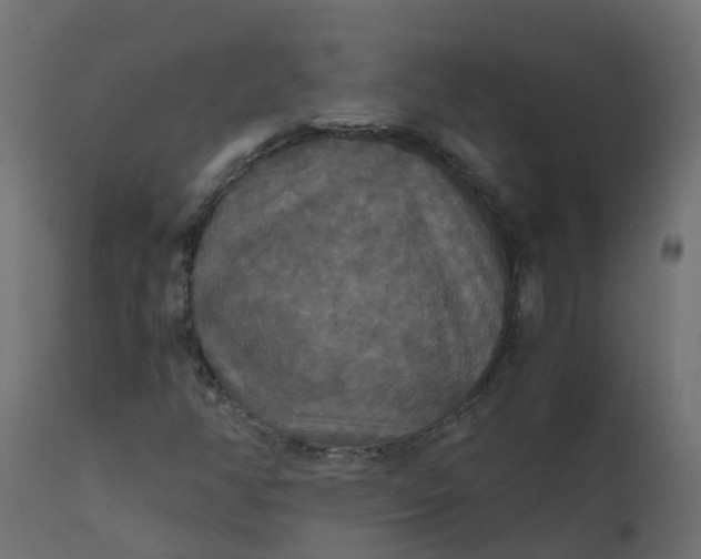 X0000110711350200906261422