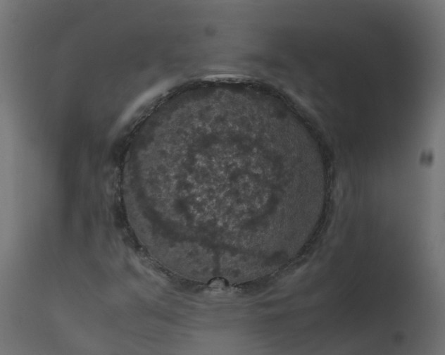 X0000110711351200906261422