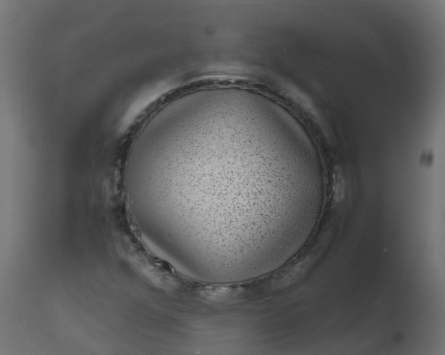 X0000110711352200906261422