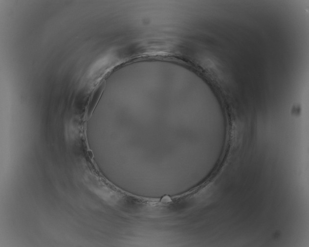 X0000110711353200906261422