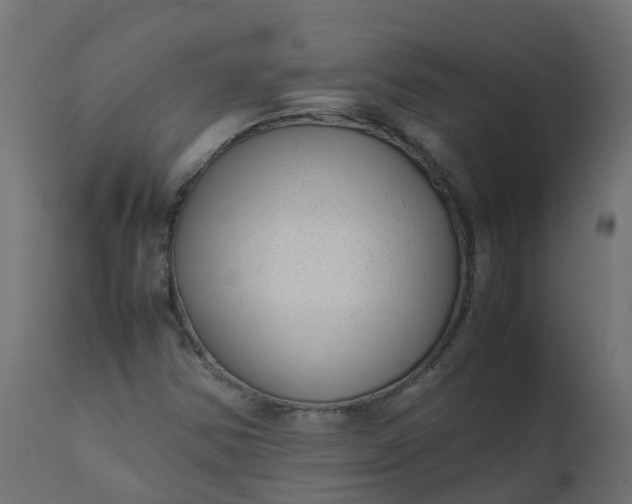 X0000110711354200906261422