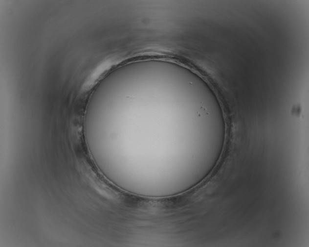 X0000110711355200906261422