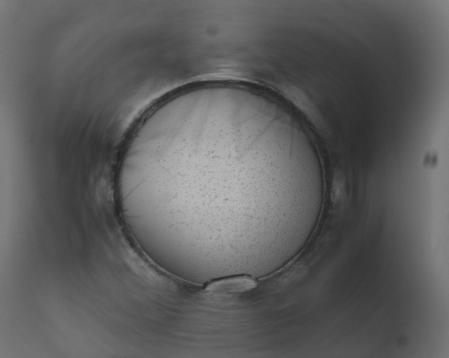 X0000110711356200906261421